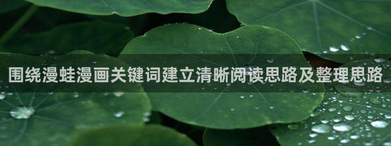漫画岛网站地址