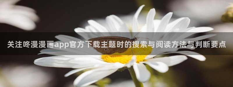 漫画岛漫画检索