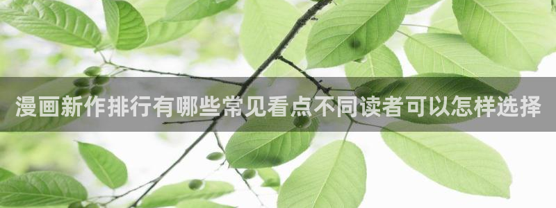 漫画岛漫画搜索